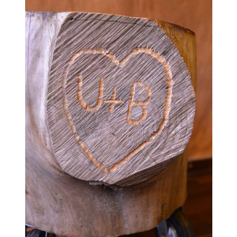 Liebesbaum/Love Tree